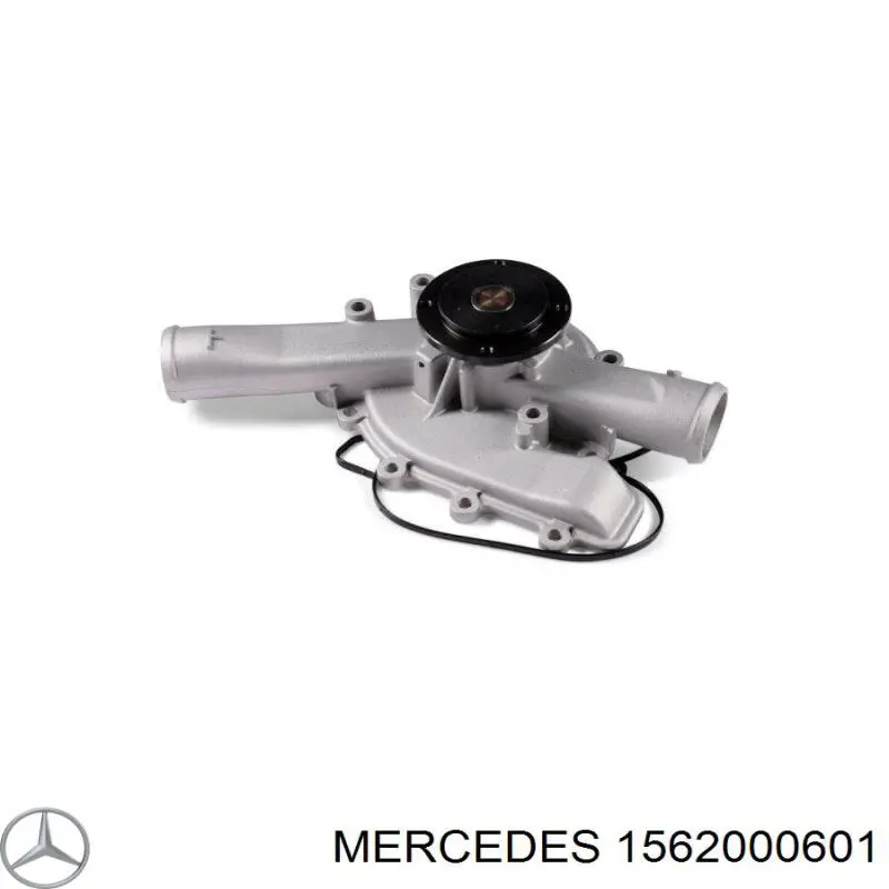 1562000601 Mercedes bomba de água (bomba de esfriamento)