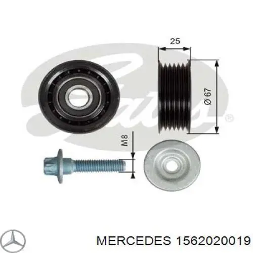 Паразитный ролик 1562020019 Mercedes