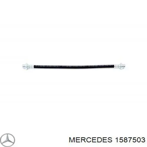 1587503 Mercedes катушка