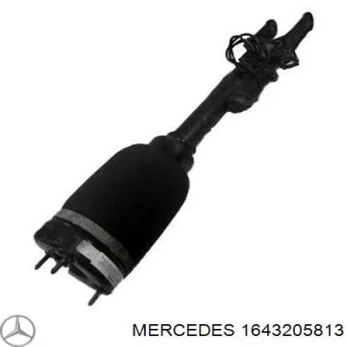 1643205813 Mercedes amortecedor dianteiro