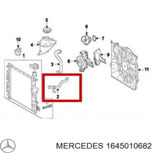 1645010682 Mercedes mangueira (cano derivado do radiador de esfriamento superior)