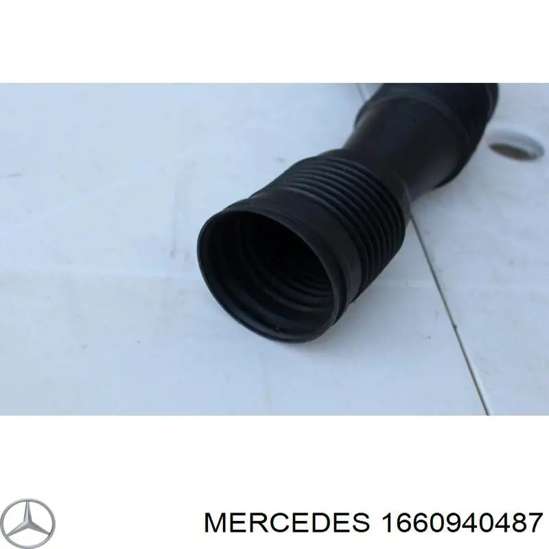 Воздухозаборник Mercedes 1660940487