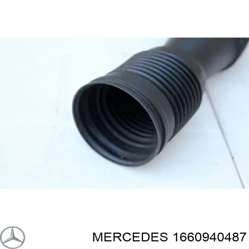 1660940487 Mercedes Воздухозаборник воздушного фильтра