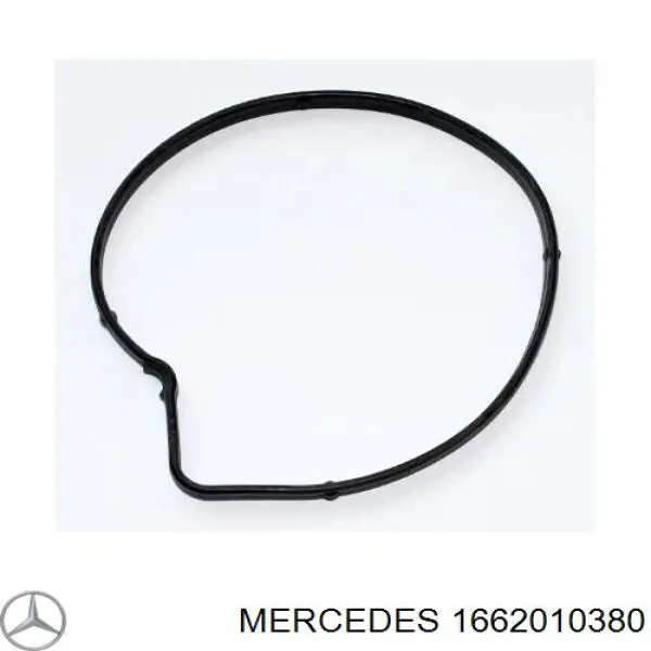 1662010380 Mercedes 