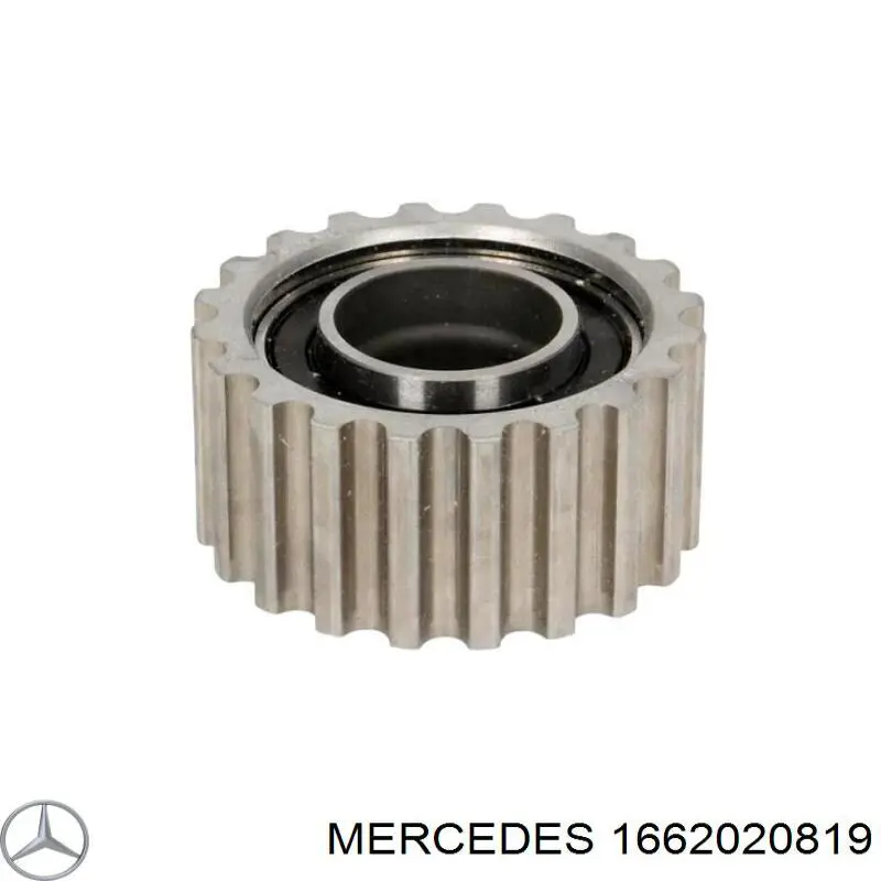 Ролик паразитный Mercedes 1662020819