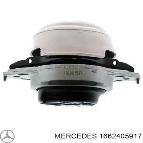 1662405917 Mercedes coxim (suporte direito de motor)