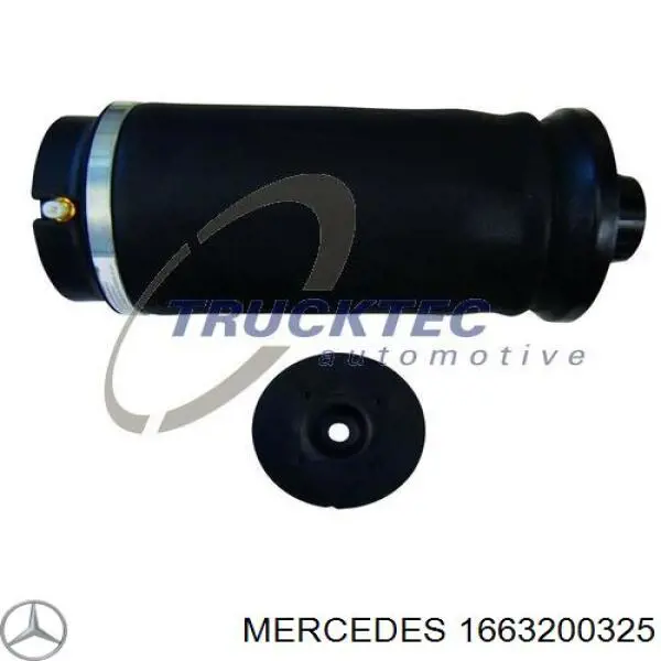 Пневмоподушка (пневморессора) моста заднего 1663200325 Mercedes