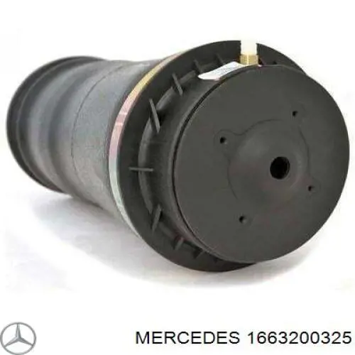 Пневмоподушка задняя Mercedes 1663200325