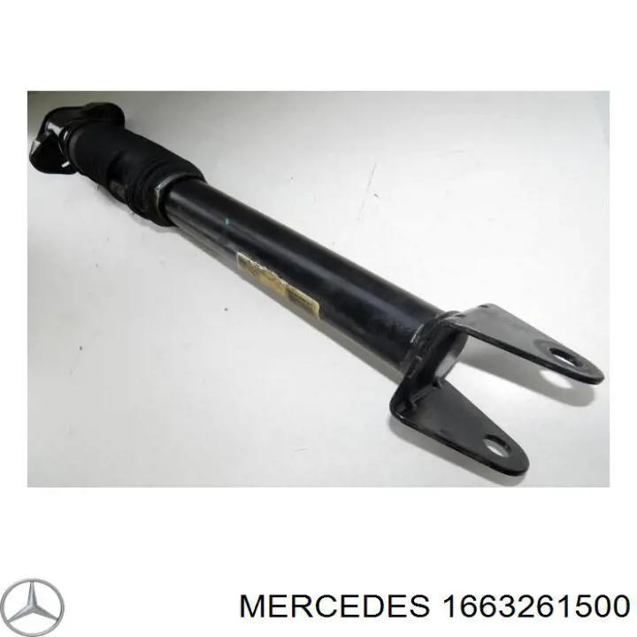 1663261500 Mercedes 