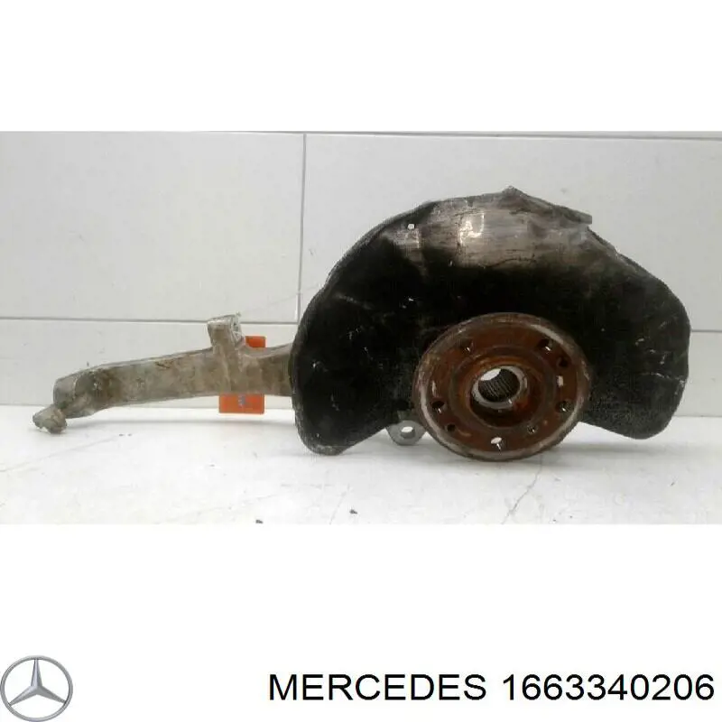 Купить 1663340206 Mercedes Ступица переднего колеса