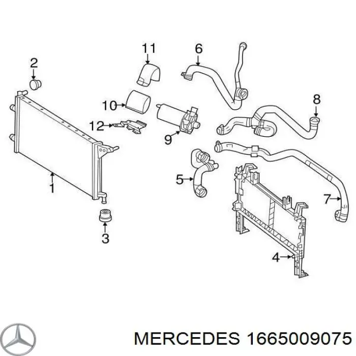 1665009075 Mercedes 