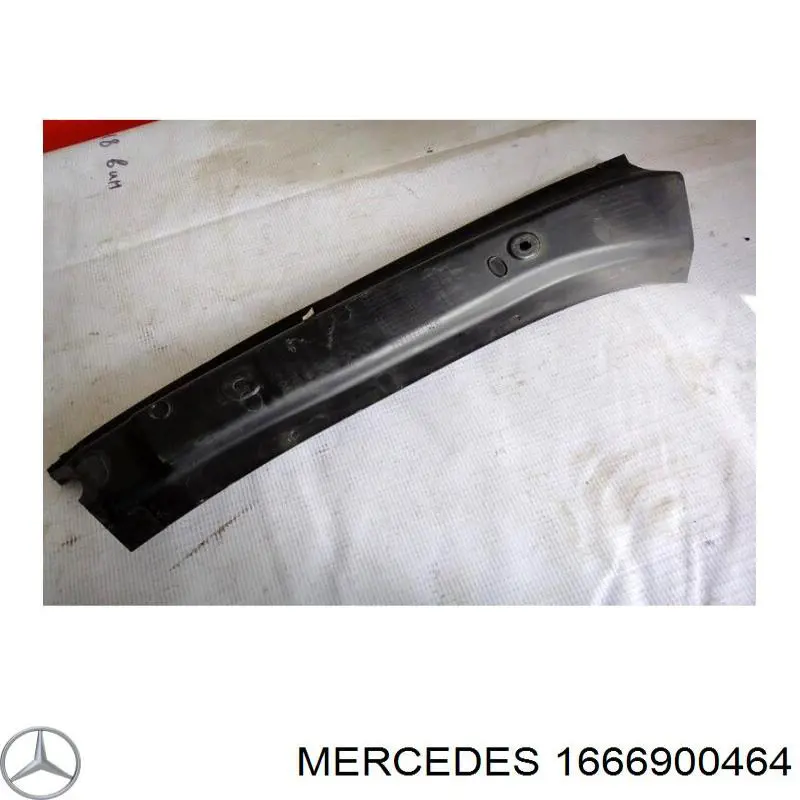  1666900464 Mercedes