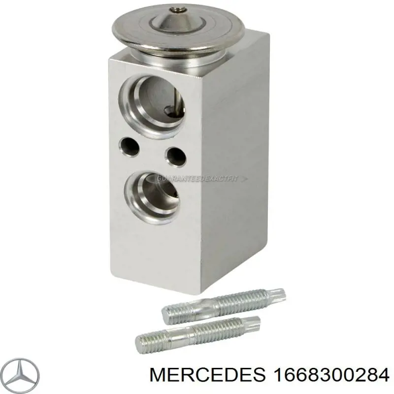  A1668300284 REMA-PARTS