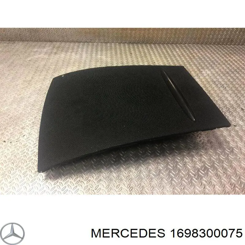 Купить 1698300075 Mercedes Заглушка жабо боковая