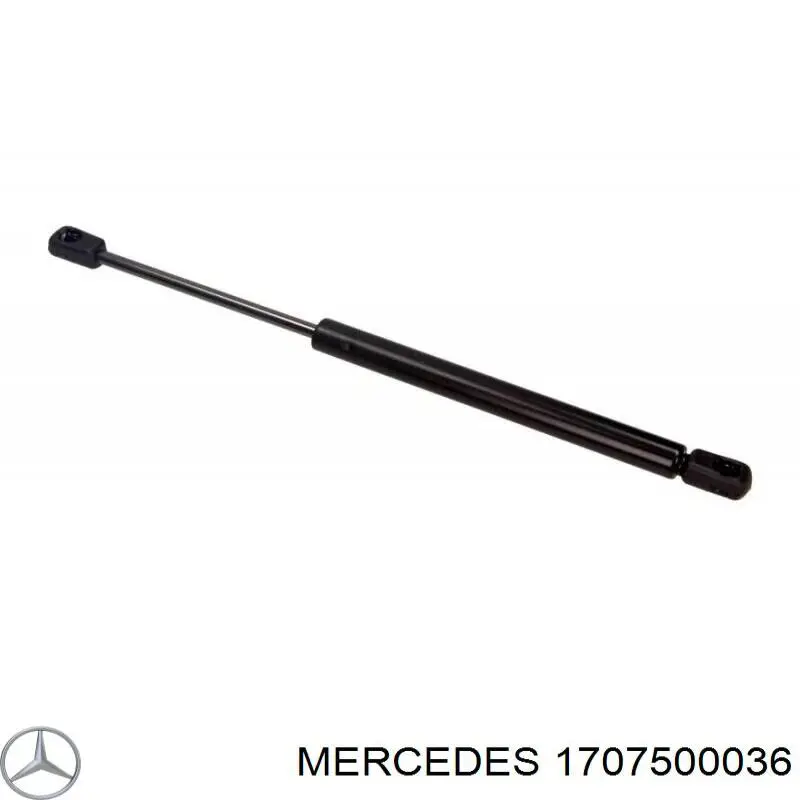 Амортизатор задней двери Mercedes 1707500036 цена, от 12.36 USD