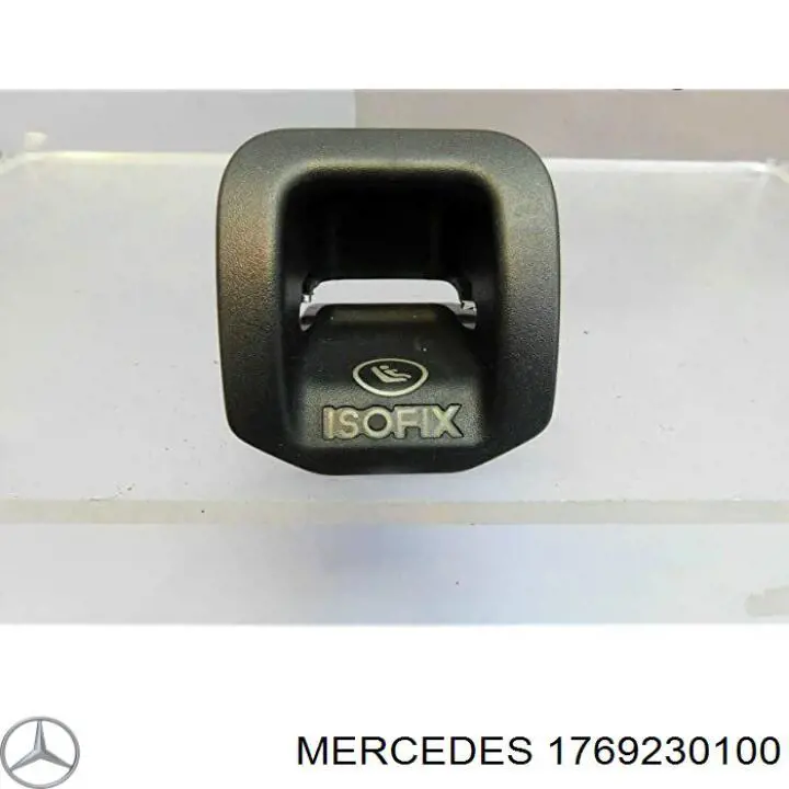 1769230100 Mercedes 