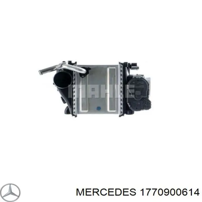  1770900614 Mercedes