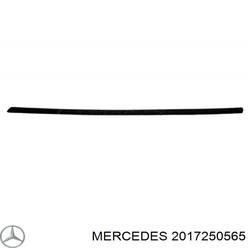  A2017250565 Mercedes