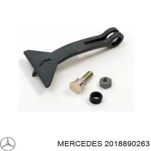 2018890263 Mercedes ripa (placa sobreposta da luz direita)