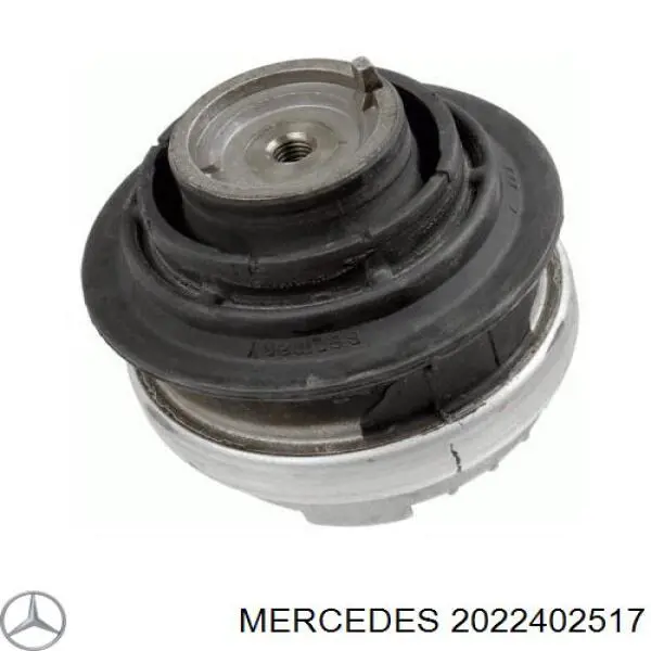 2022402517 Mercedes подушка (опора двигателя левая)