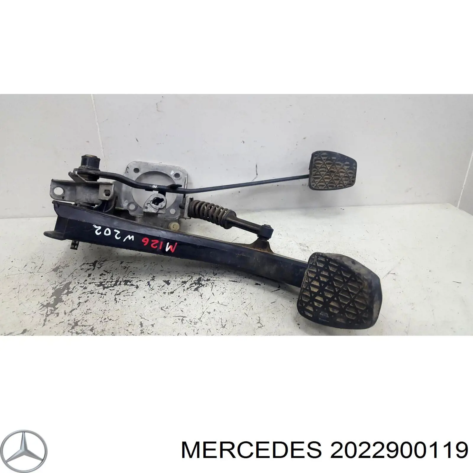  A2022900119 Mercedes