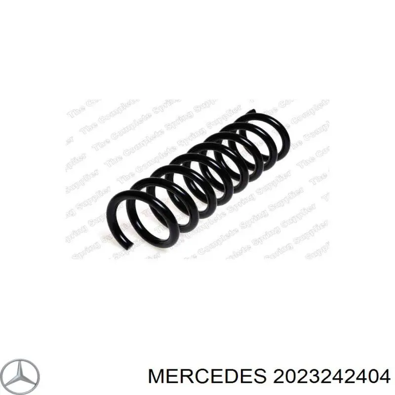 2023242404 Mercedes пружина задняя