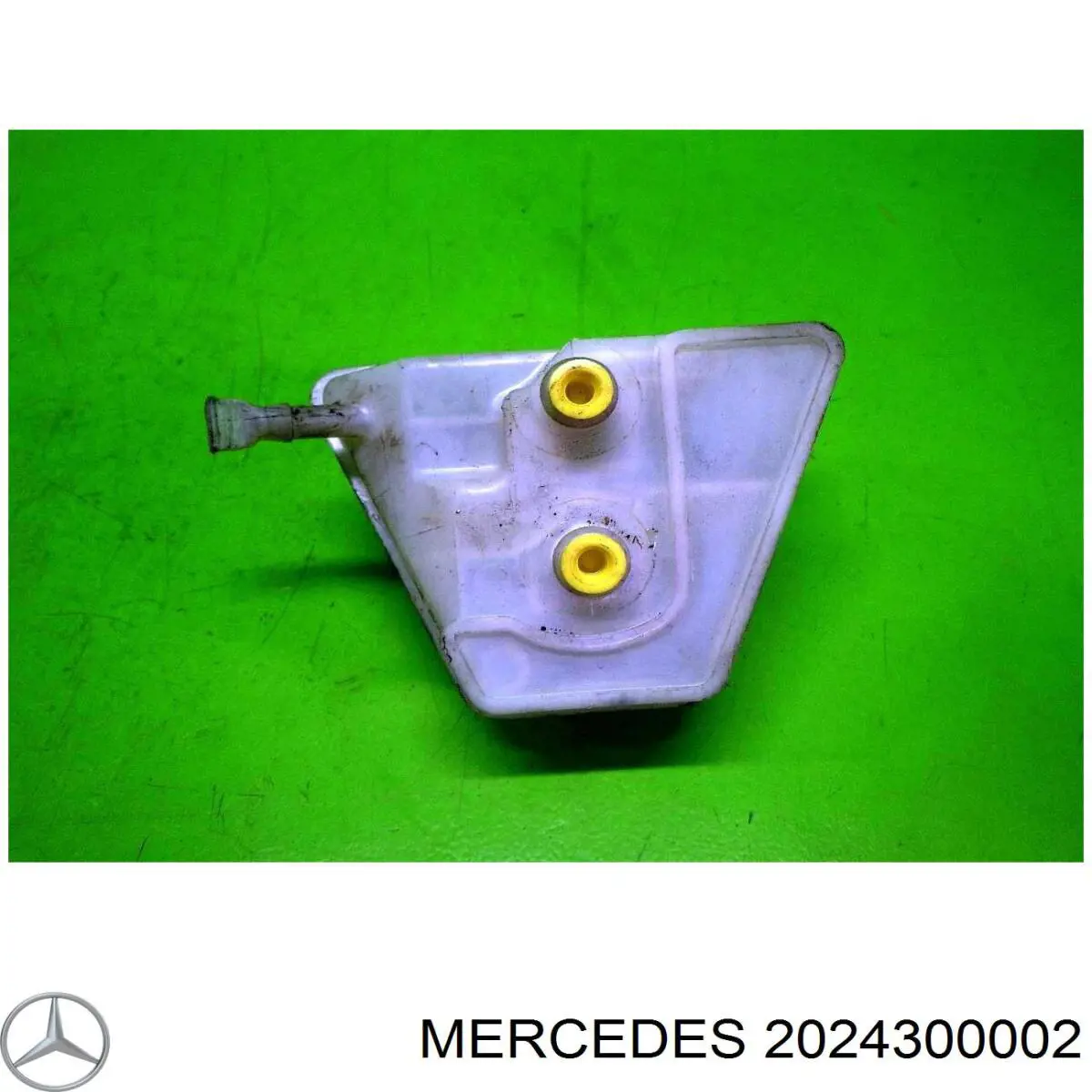  2024300002 Mercedes