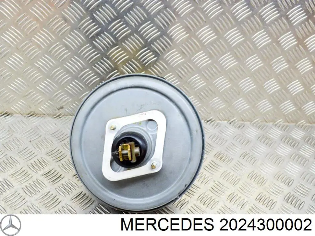 Купить 2024300002 Mercedes 