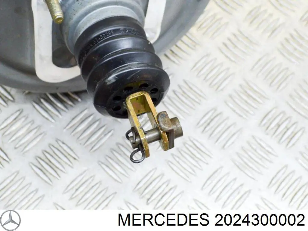  2024300002 Mercedes