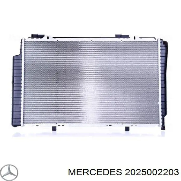 Радиатор 2025002203 Mercedes