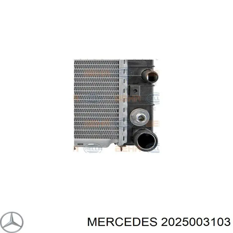 Радиатор 2025003103 Mercedes