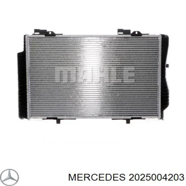 Радиатор 2025004203 Mercedes