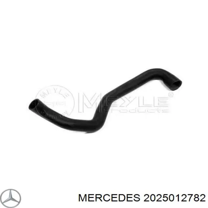2025012782 Mercedes шланг (патрубок радиатора охлаждения нижний)