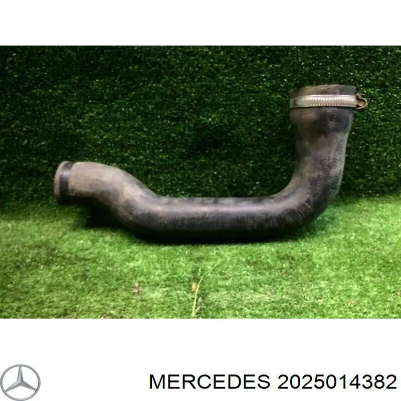 2025014382 Mercedes шланг (патрубок радиатора охлаждения нижний)