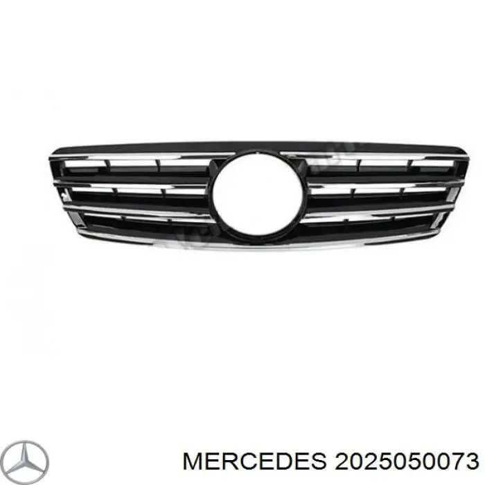 2025050073 Mercedes 