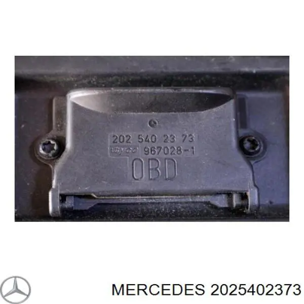 2025402373 Mercedes 