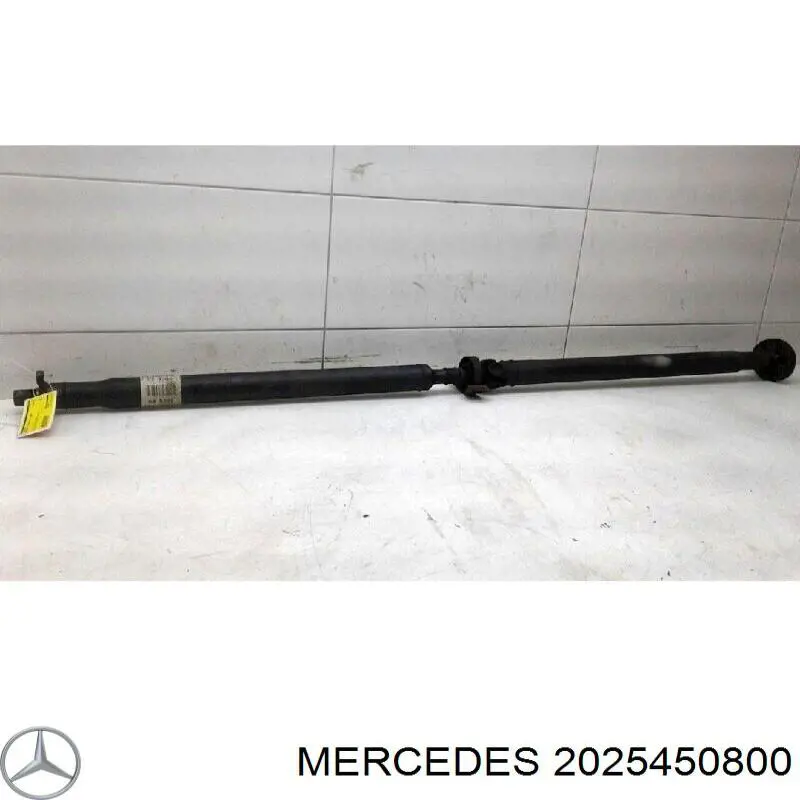  A2025450800 Mercedes