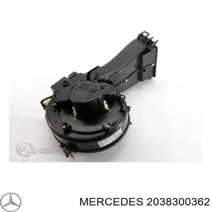  A2038300362 Mercedes