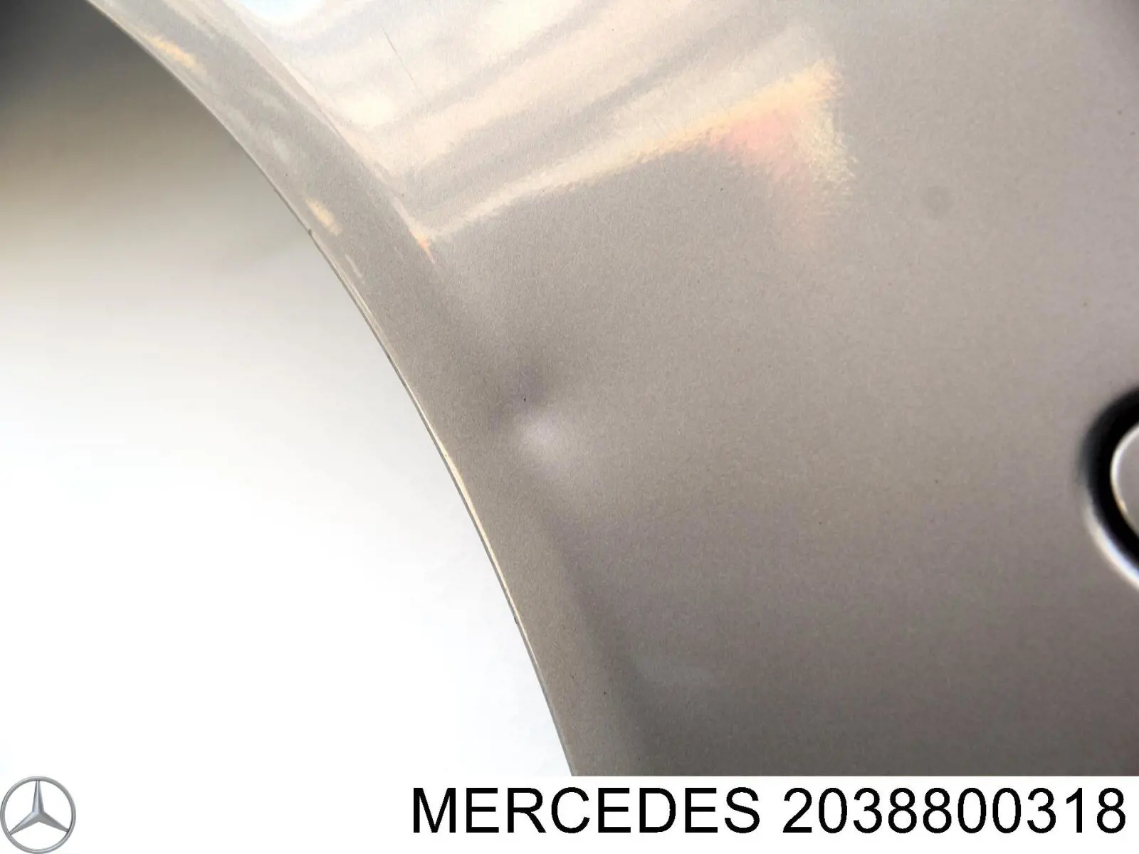 Pára-lama dianteiro esquerdo para Mercedes C  CL203