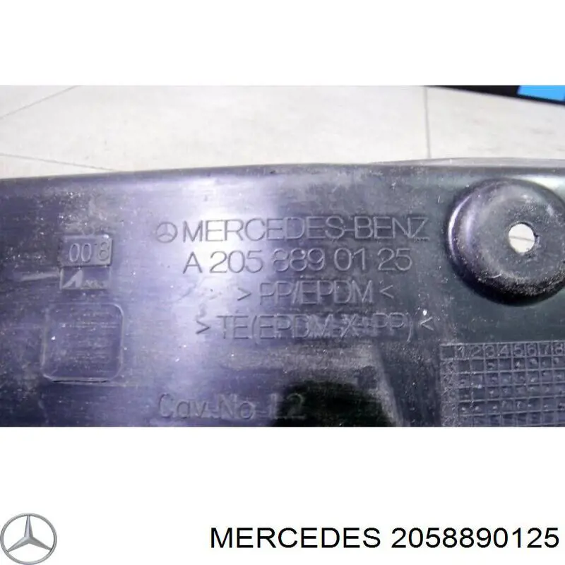 2058890125 Mercedes 