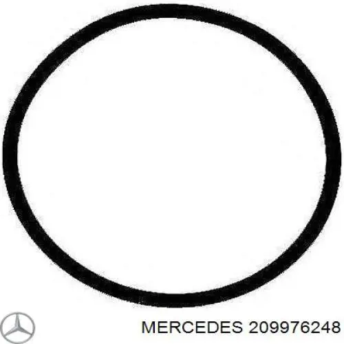 0209976248 Mercedes