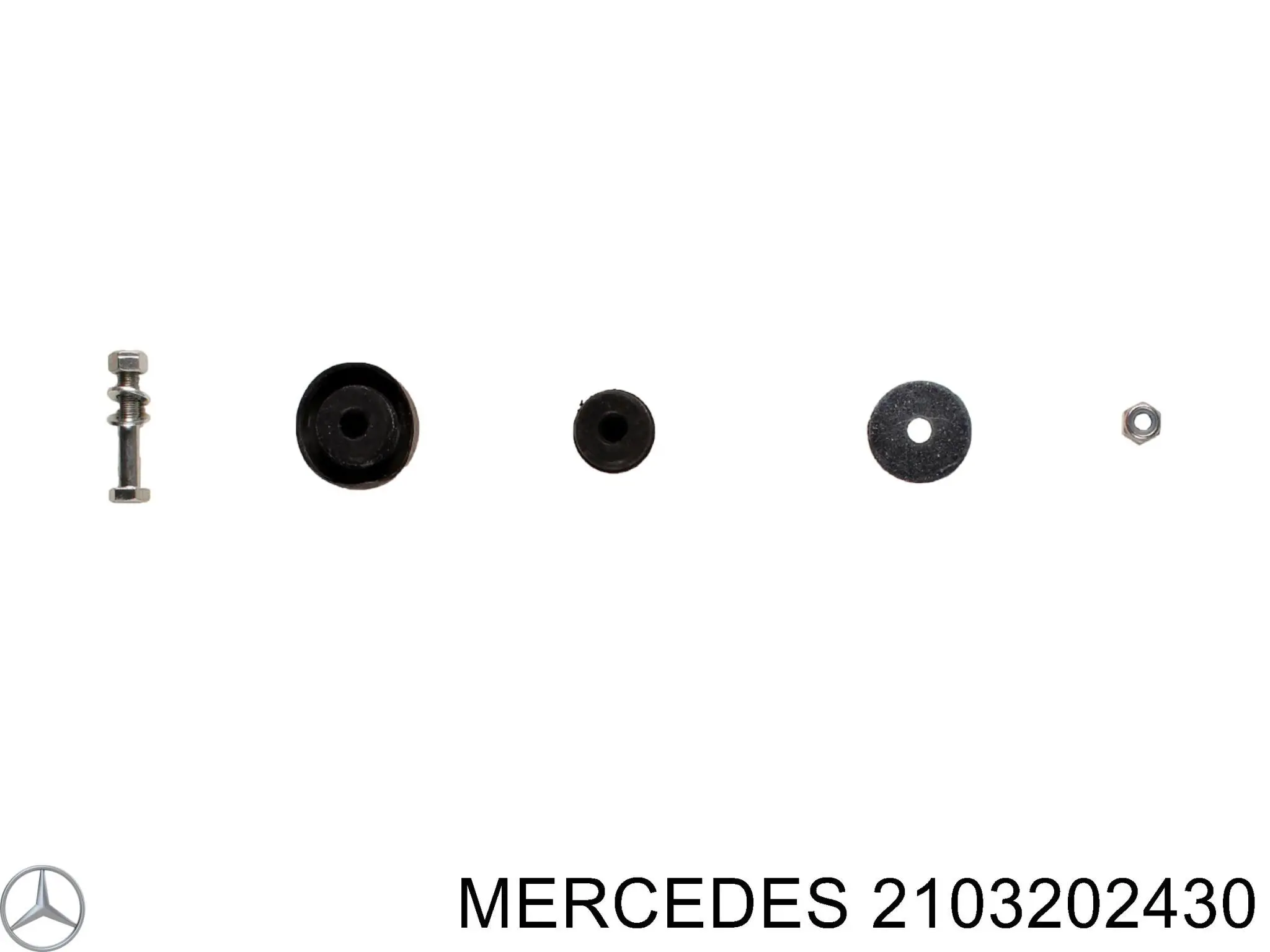 2103202430 Mercedes амортизатор передний