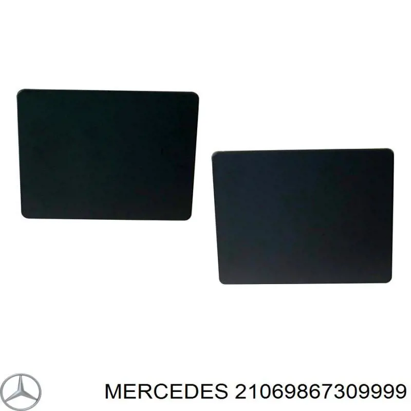  A21069867309999 Mercedes