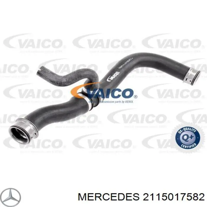 2115017582 Mercedes mangueira (cano derivado inferior do radiador de esfriamento)