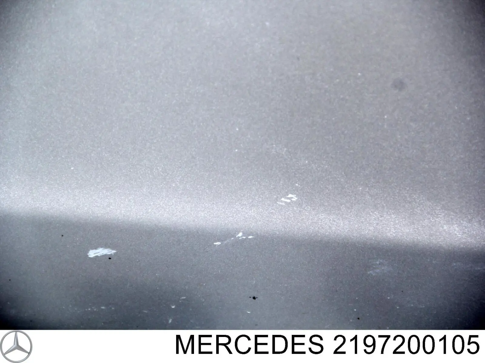 Водительская дверь на Mercedes CLS  C219