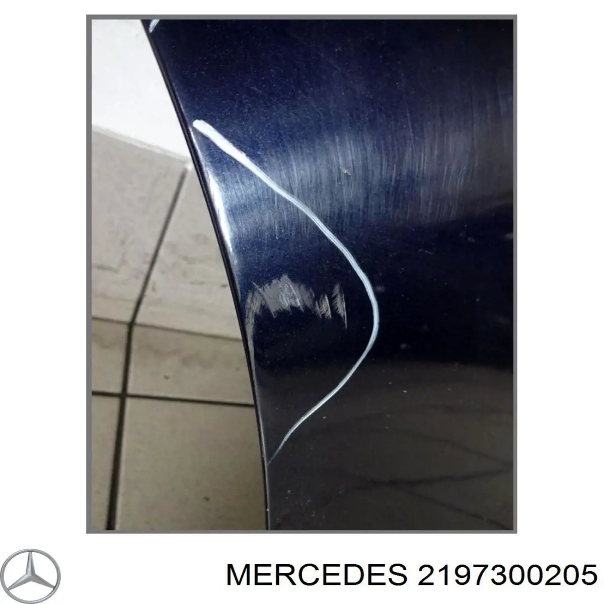 Купить 2197300205 Mercedes Дверь задняя в сборе