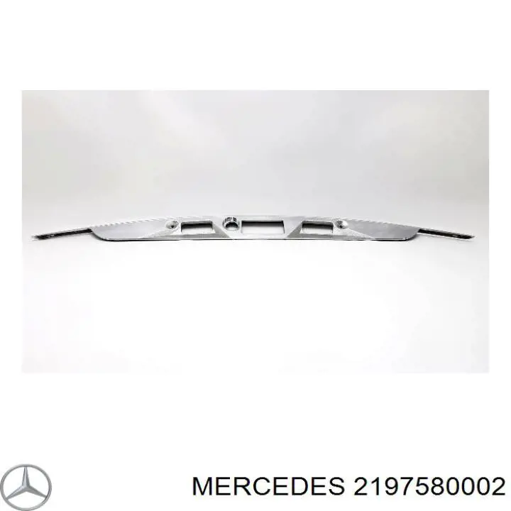  A219758000228 Mercedes