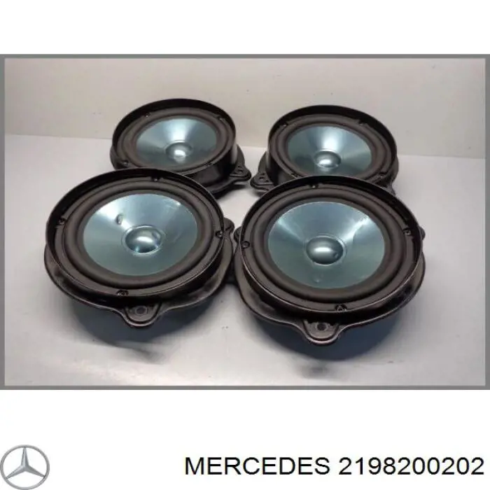 2198200202 Mercedes 