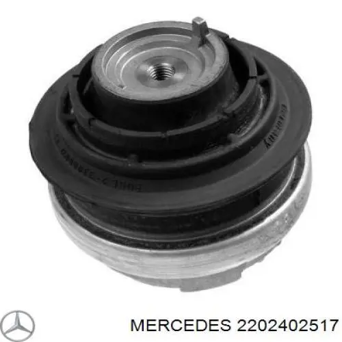 2202402517 Mercedes подушка (опора двигателя левая/правая)