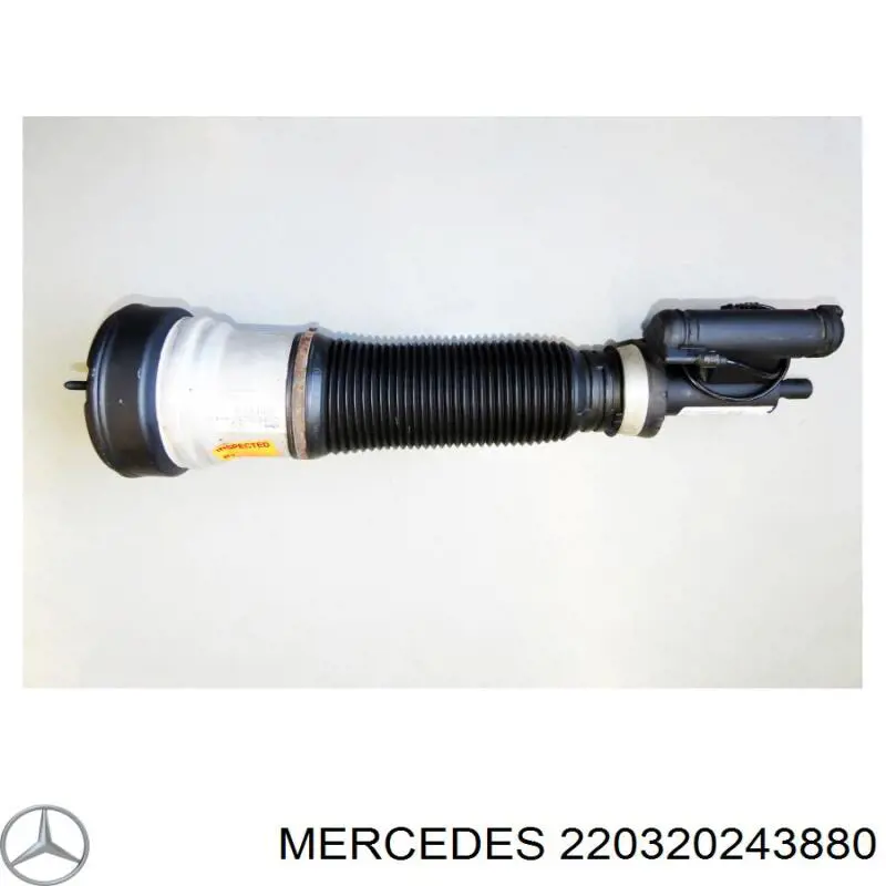 220320243880 Mercedes амортизатор передний
